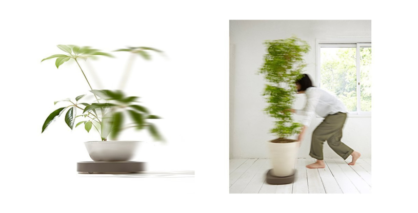 移動できる植物用トレイが便利そう！！amazonで購入