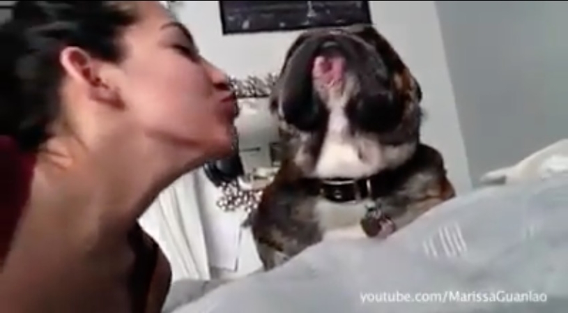 キスを嫌がる動物たちｗｗｗｗｗ