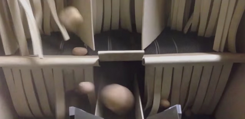 ポテトの形によって分別する機械がめっちゃはやいｗｗｗ