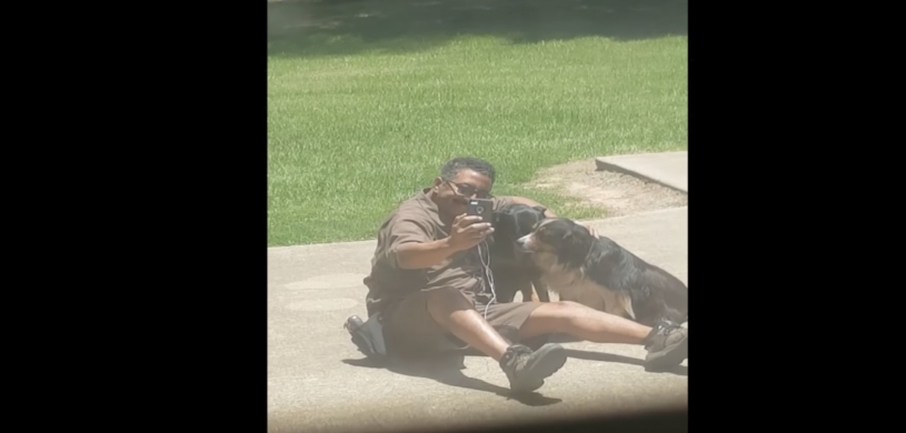 犬たちと楽しそうに一緒に写真を撮っているお父さんをこっそり撮影した映像が素敵ｗｗｗｗ