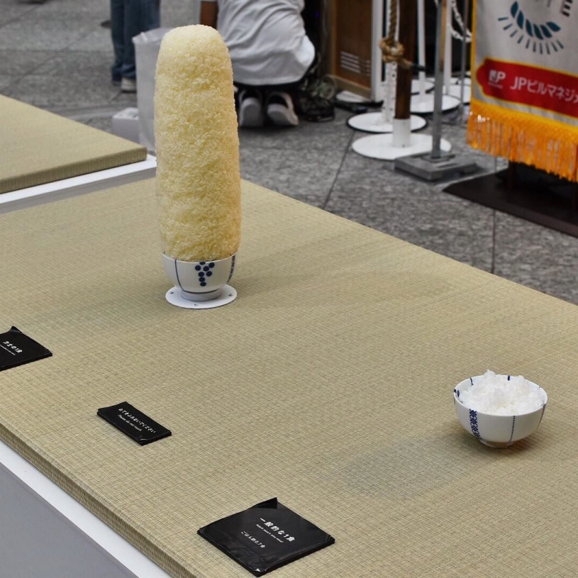 お相撲さんの食べるご飯の量と普通の人のご飯の量の差