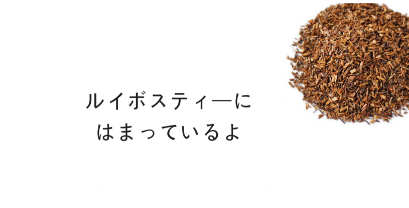 ルイボスティーにはまっているよ