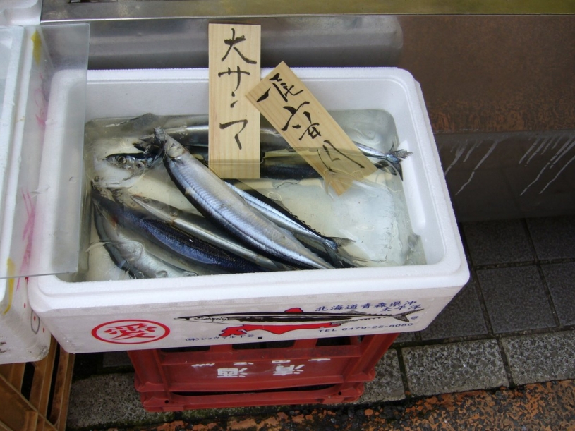 秋刀魚が高すぎて買えない…なぜ？１匹６００円？