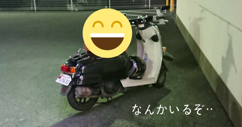 コンビニ支払いに行ってバイクに戻ると可愛い・・・