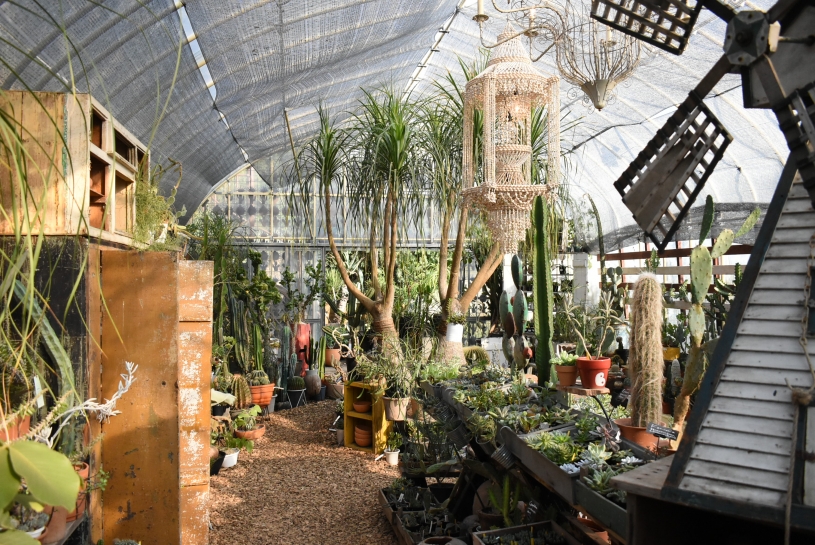 人気植物スポットSOLSO FARM、植物好きの人におすすめです！