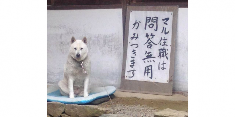 おっかない住職様ｗｗｗ