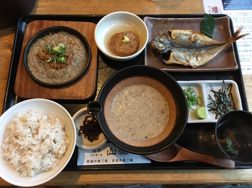 自由な箱根旅行