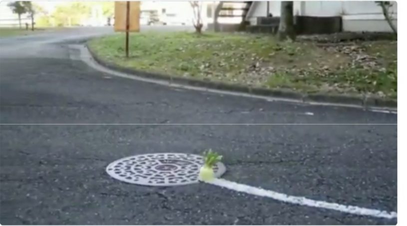 大根が道の上ですりおろされる動画が話題に