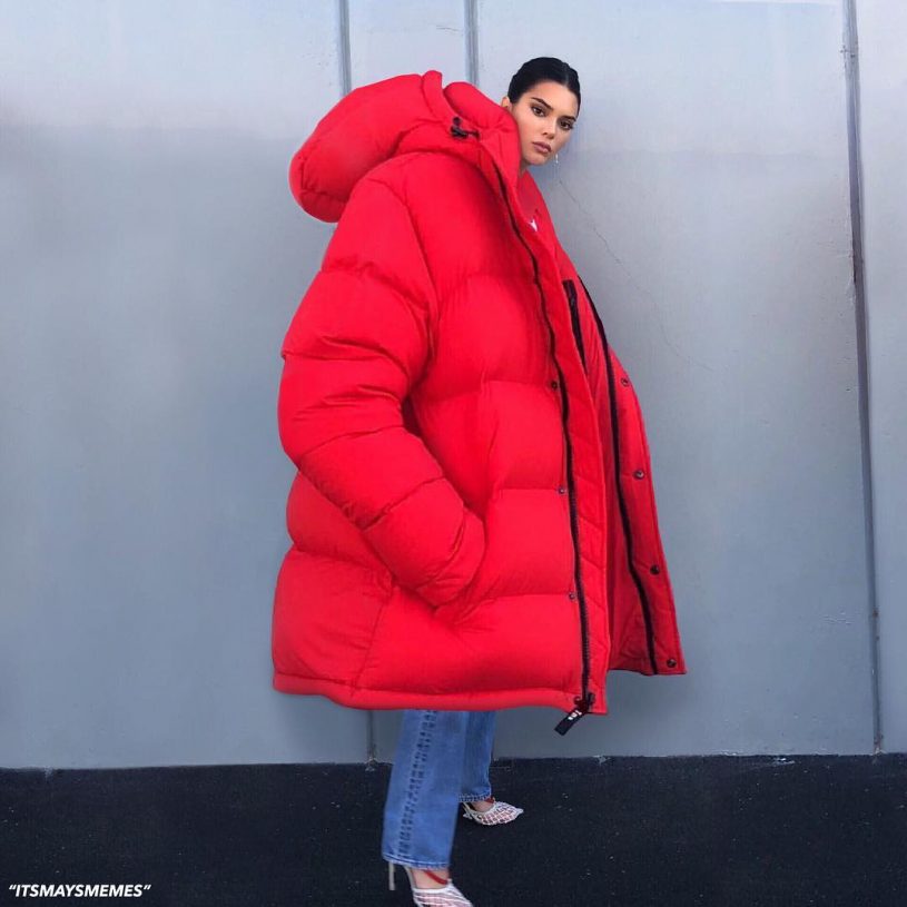 これが２０１８年の流行りのダウンジャケットか・・ｗ