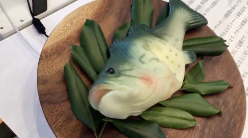 魚ロボとGoogle Homeをくっつけた結果→魚がしゃべるｗｗめっちゃおもろしろいｗｗｗ