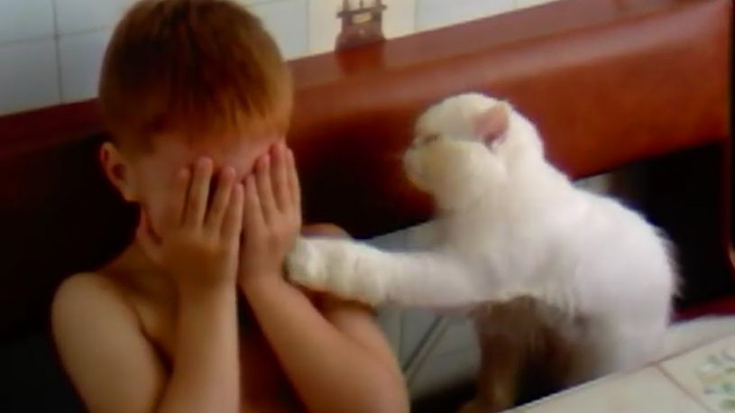 泣いている赤ちゃんやこどもを慰めてくれる猫ちゃん