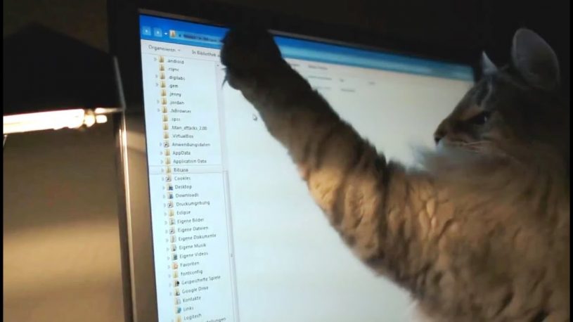 マウスポインターが好きすぎる猫