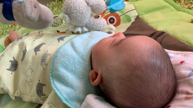 あかちゃんから見た世界　プレイジム編