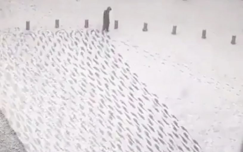 暇な警備員さん雪の上を歩く