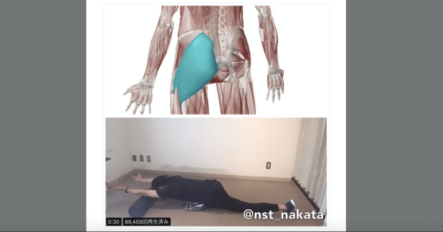 寝る前にやったら気持ちよかった、座りっぱなしのデスクワーカーにはキツ〜い「大臀筋」ストレッチ