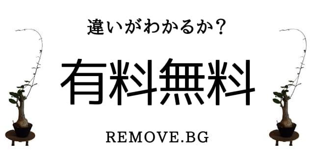 画像切り抜きサービス「Remove.bg  」無料と有料では画質が全然違う