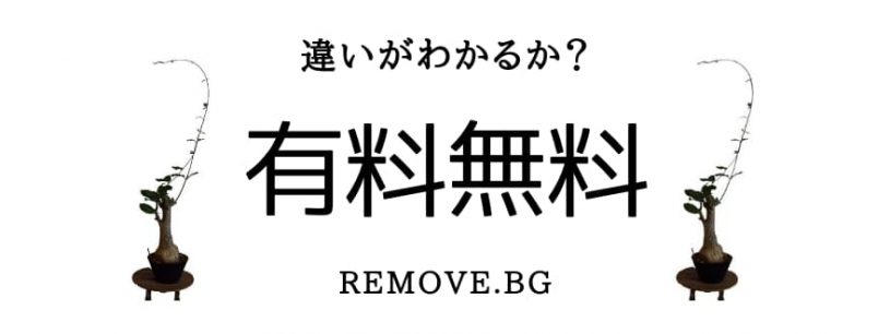 画像切り抜きサービス「Remove.bg  」無料と有料では画質が全然違う
