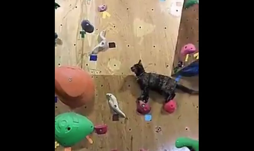 私にはこれのどこが難しいのかわかりません