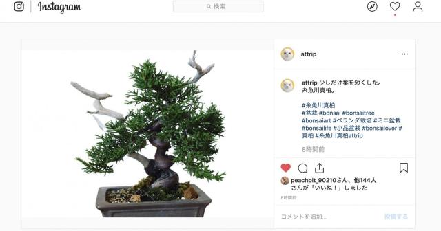 インスタグラムの投稿をIFTTT経由でTwitterに投稿すると画質が落ちる