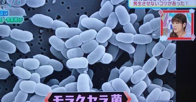 生乾きの匂いの原因は、モラクセラ菌解決方法は煮洗いか過炭酸ナトリウム漬け