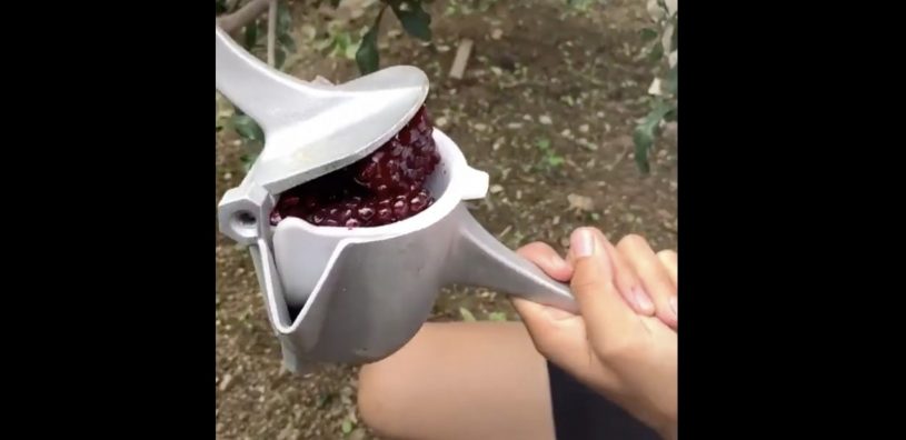 ザクロを潰してジュースにできるマシーン