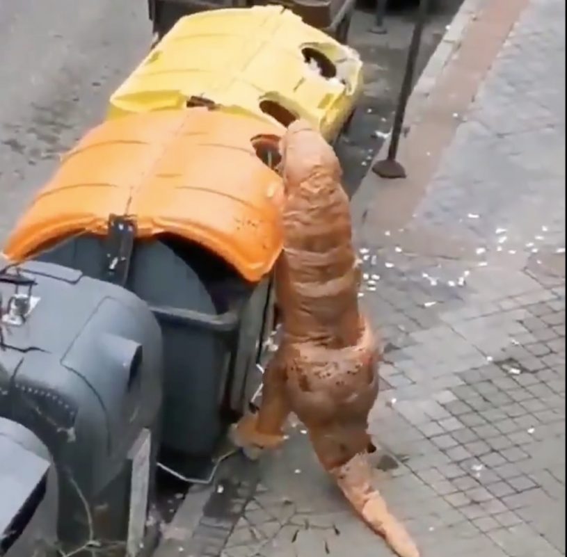 コロナの影響で外出制限中のスペイン、ティラノサウルスがゴミ捨てをしていて話題に