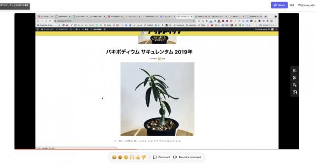 声を入れながら画面キャプチャ動画を作成できるLOOM