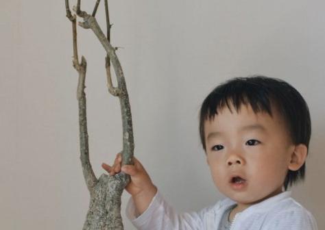 息子と多肉。 子供の日の記念ショット。アデニアステイローサ