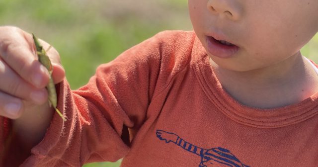 3歳児の腹筋を鍛える方法を教えて