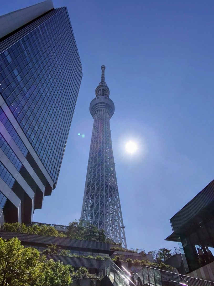 ただのテストだった