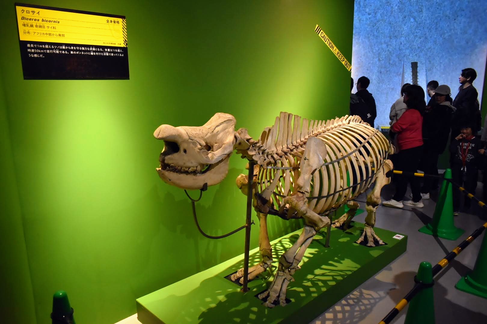 Photo from the Super Dangerous Creatures exhibition 11