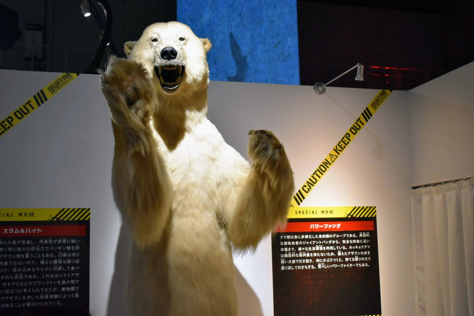 Photo from the Super Dangerous Creatures exhibition 17