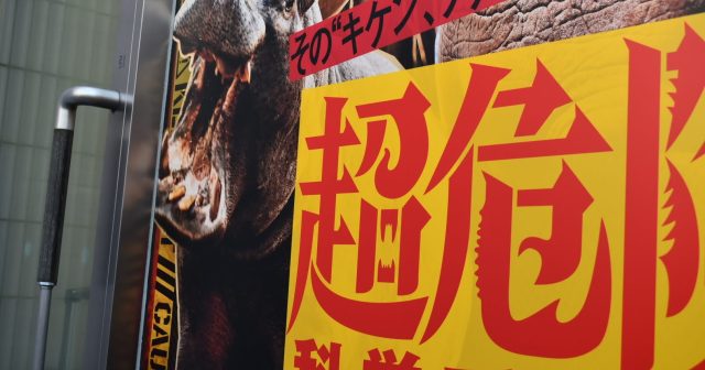超危険生物展に行ってきた｜見どころ・展示内容を写真でレポート