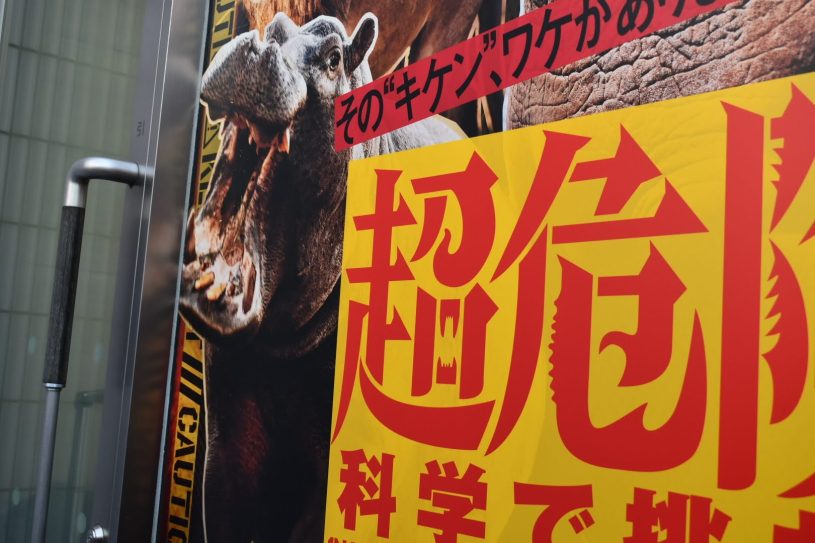 超危険生物展に行ってきた｜見どころ・展示内容を写真でレポート
