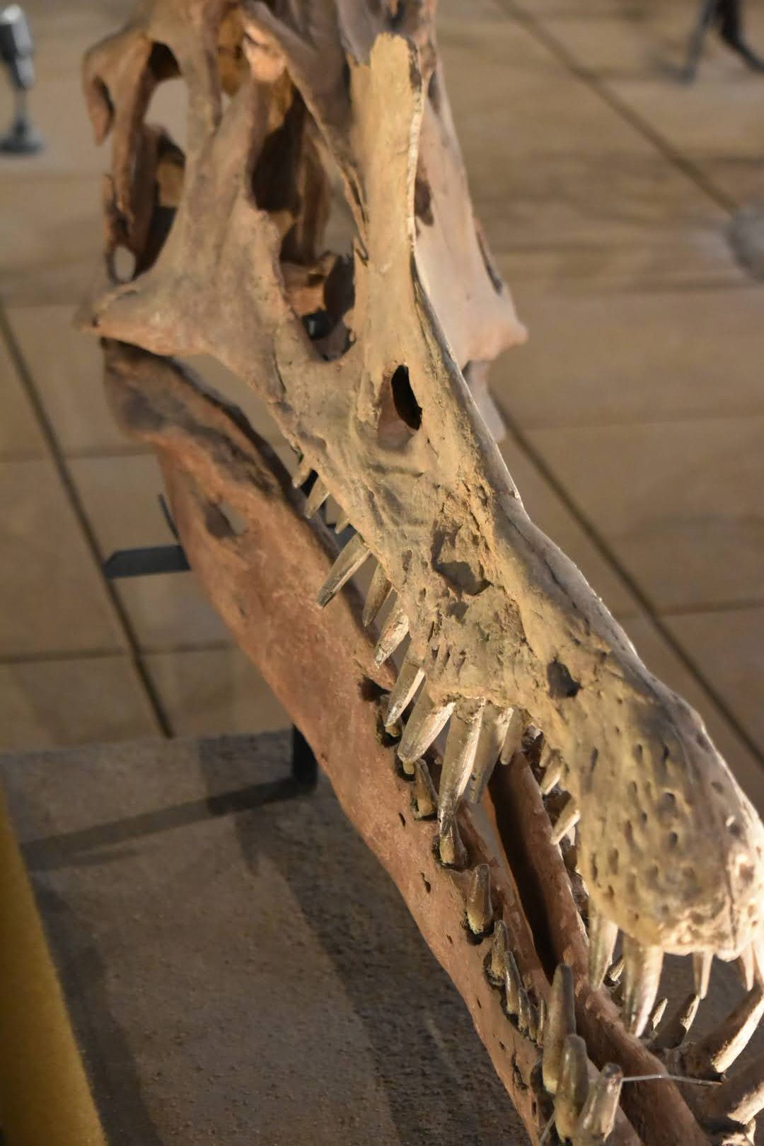 細部まで見入った展示のアップ写真