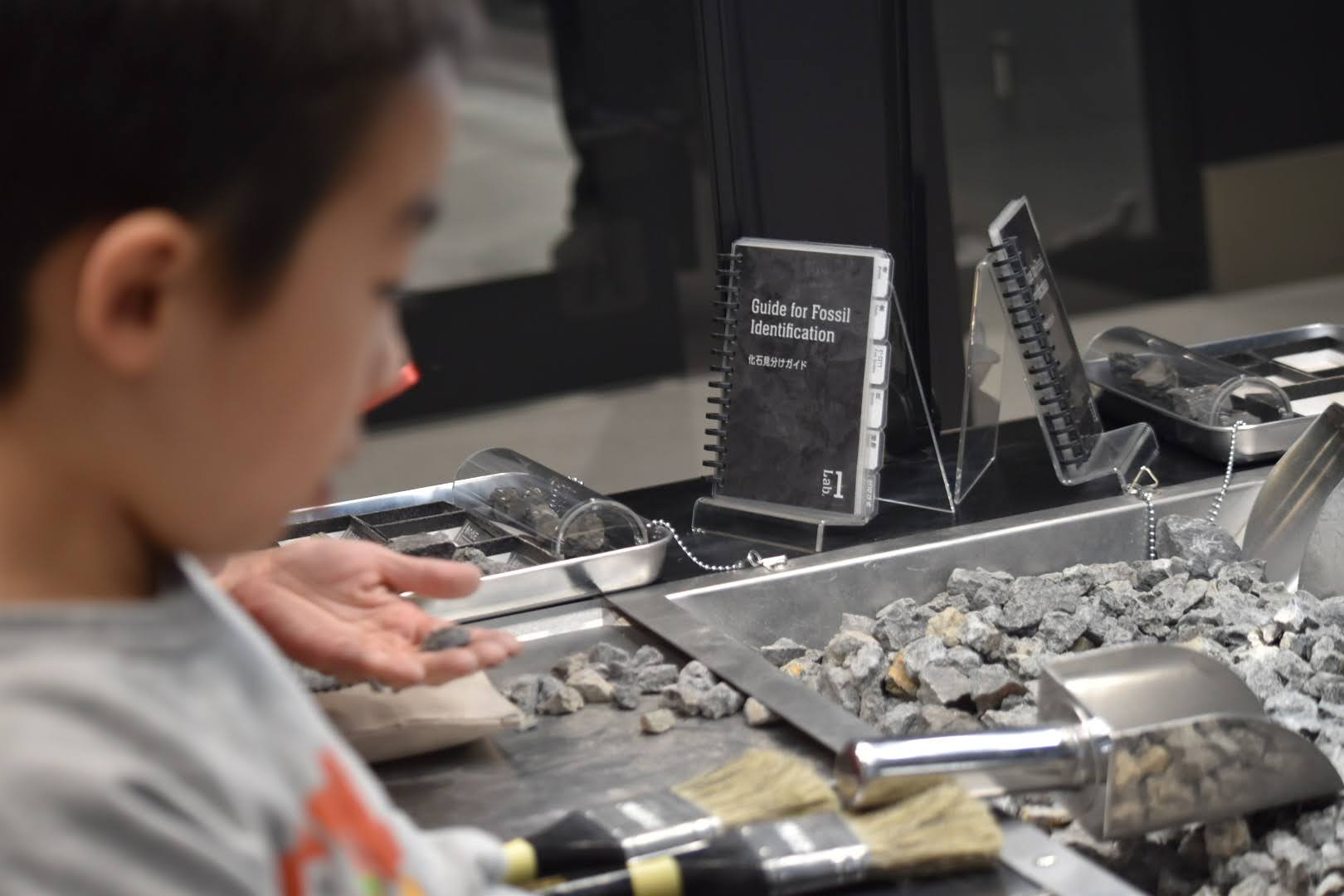 化石に関わる体験コーナーで手を動かして楽しむ様子