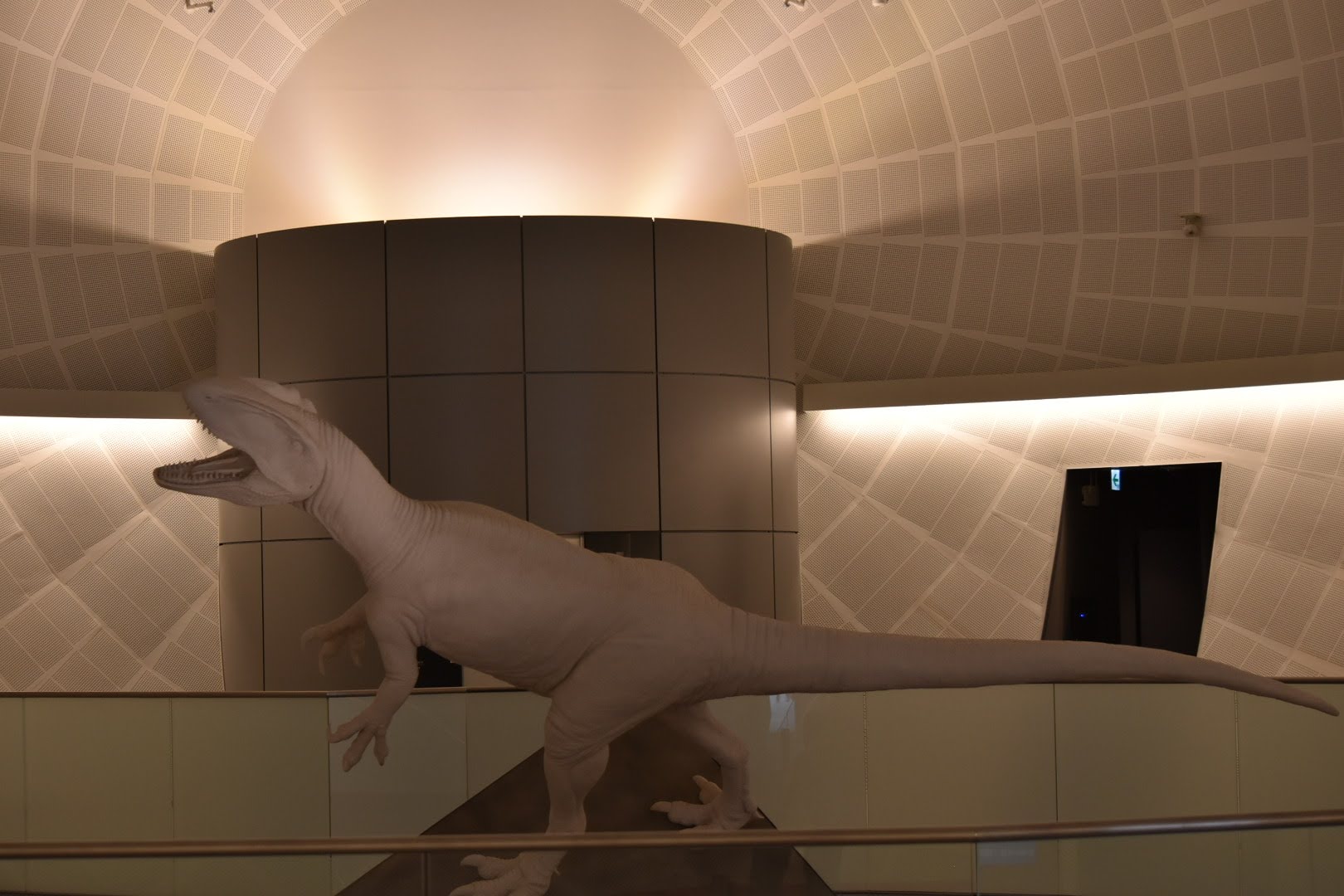 館内に展示されていた恐竜の復元模型