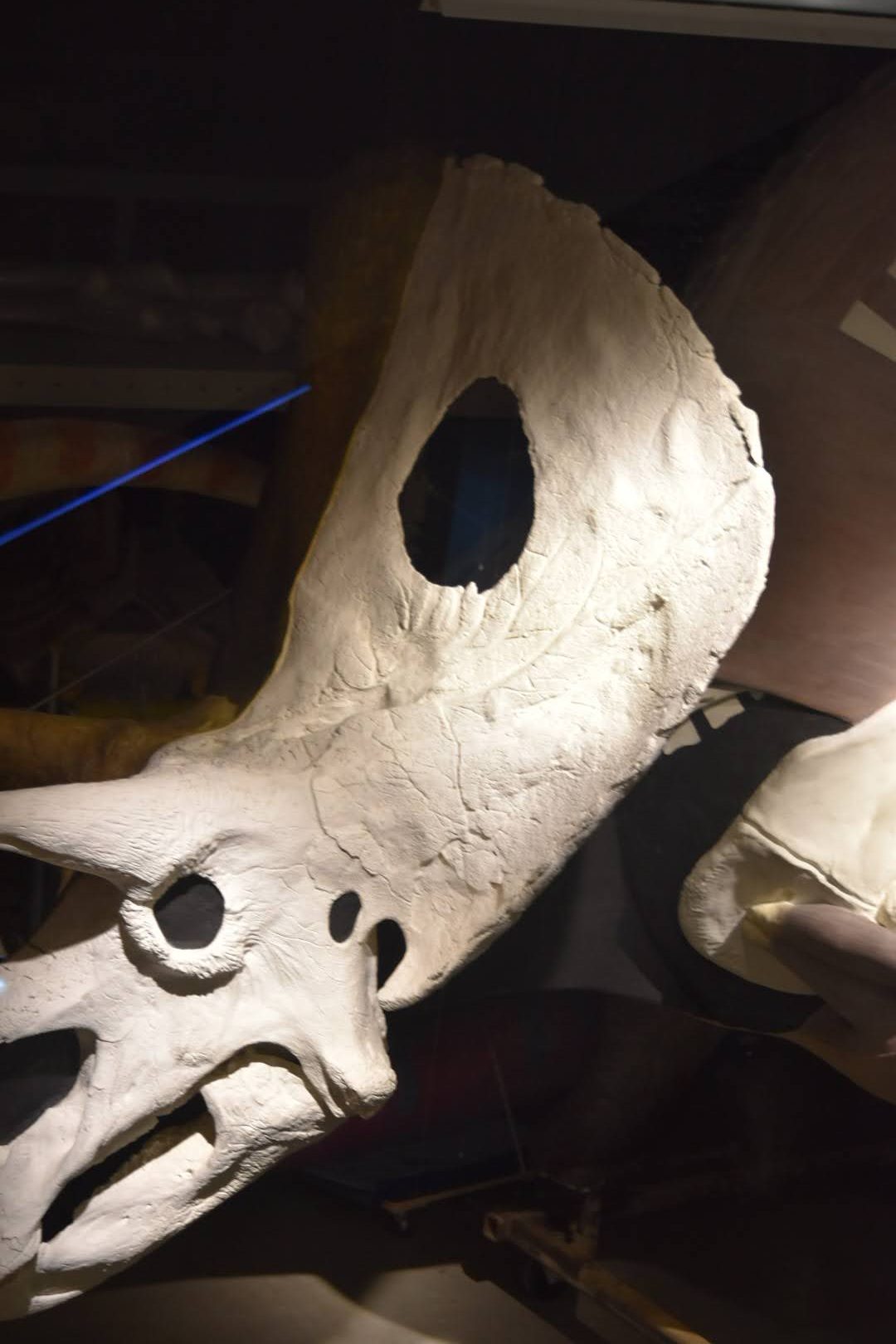 印象に残った展示のクローズアップ