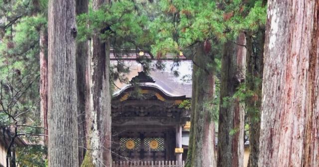 A Year-End Visit to Eiheiji on December 31, 2025