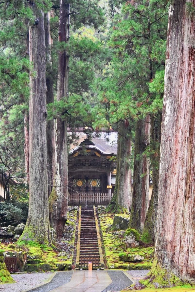 A Year-End Visit to Eiheiji on December 31, 2025
