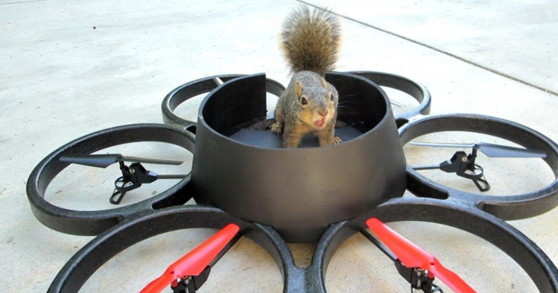 ドローンに乗って飛び去るリスｗｗｗｗｗ