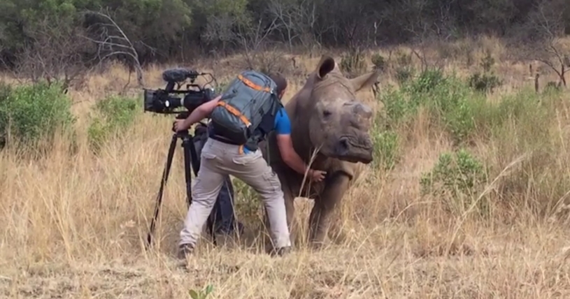 南アフリカで動物を撮影中にサイと仲良くなったカメラマン