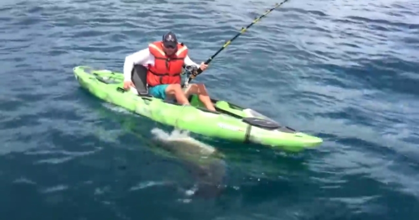 ７フィートの巨大なサメをカヤックから釣ろうとするが転覆
