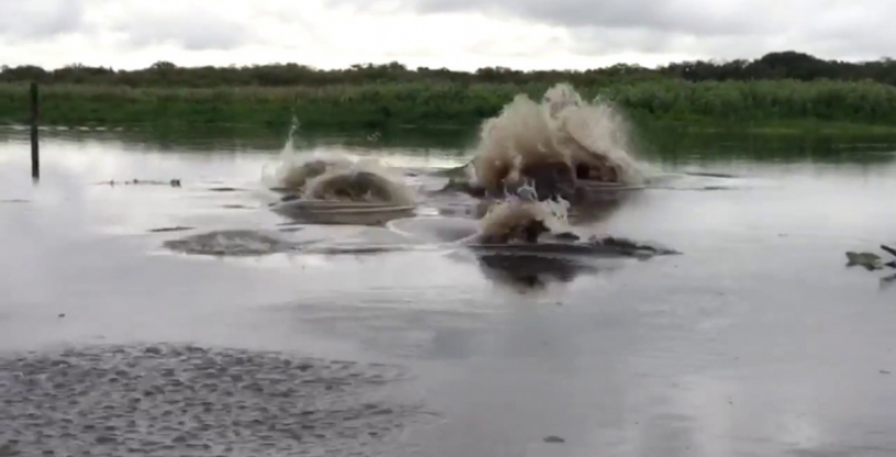 この川には、なにかものすごい生物がいるのかｗｗｗｗ