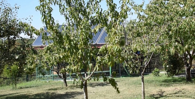 トリュフ犬は、トリュフ狩りが大好き